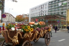 20141012_110905