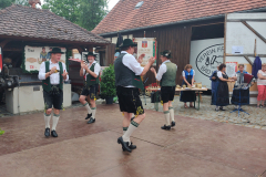 IMG_20250601_153226274
